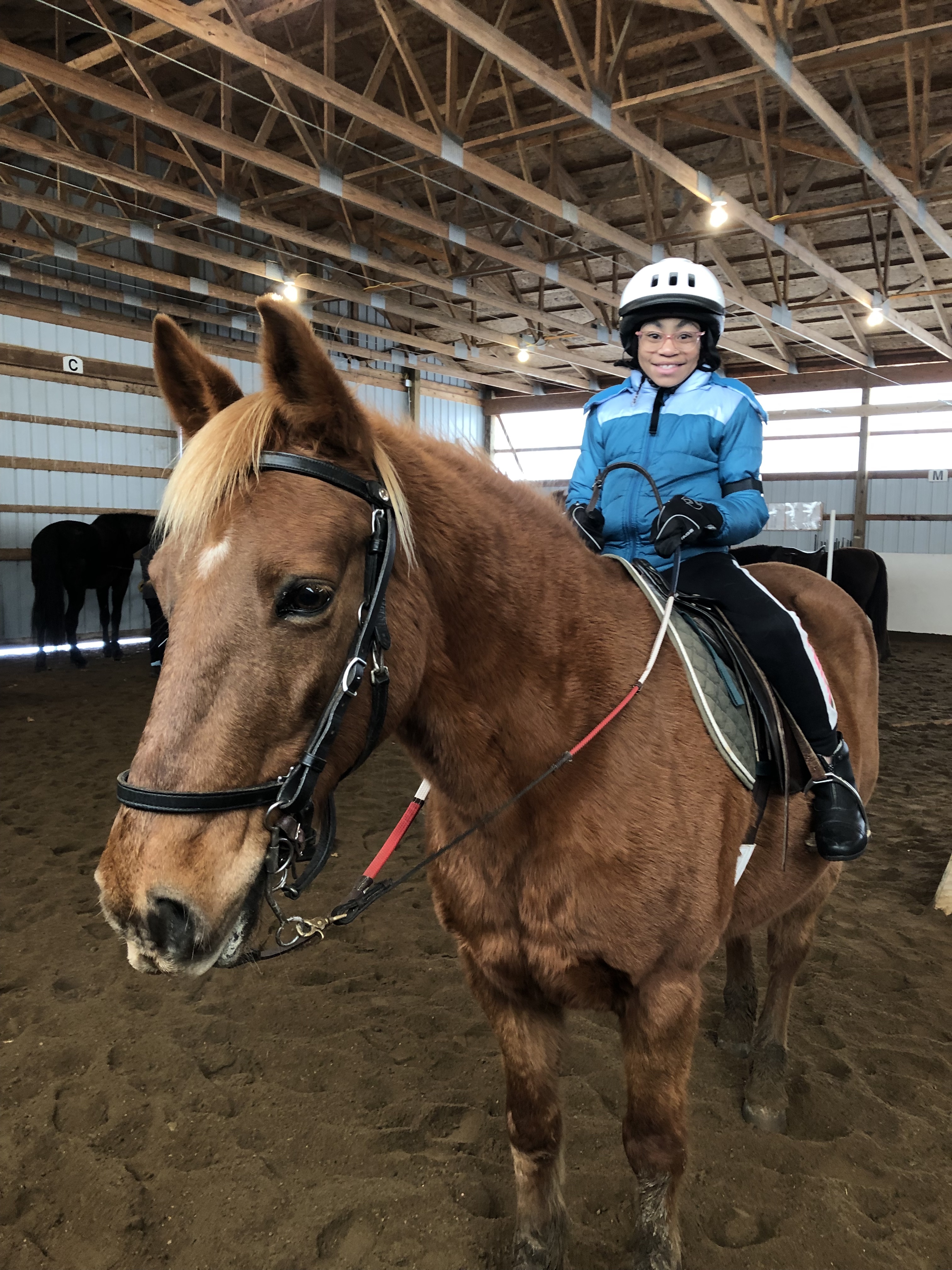 a child sits on a horse and looks at the camera